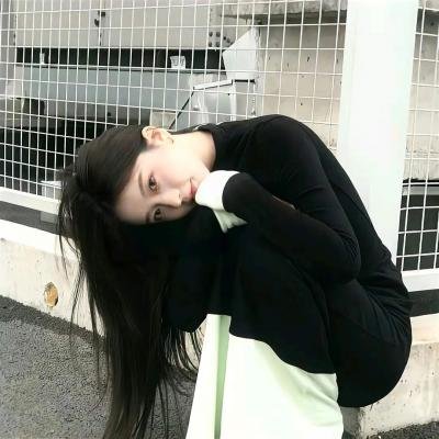 豹