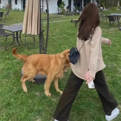 最后一棵树